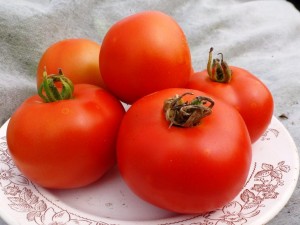 помидоры манимейкер
