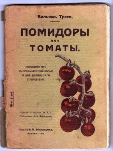 Трейсси Помидоры или томаты